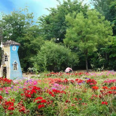 夏游西安植物园