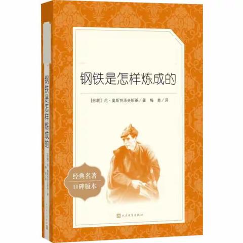 《钢铁是怎样炼成的》读后感—211