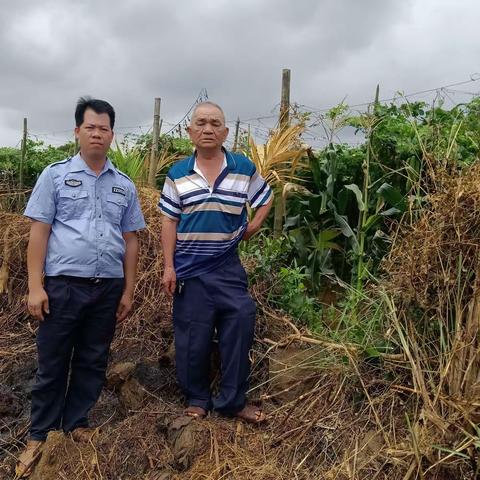 东星村调解员成功调解苏文圣与苏文艺的赔偿纠纷案件