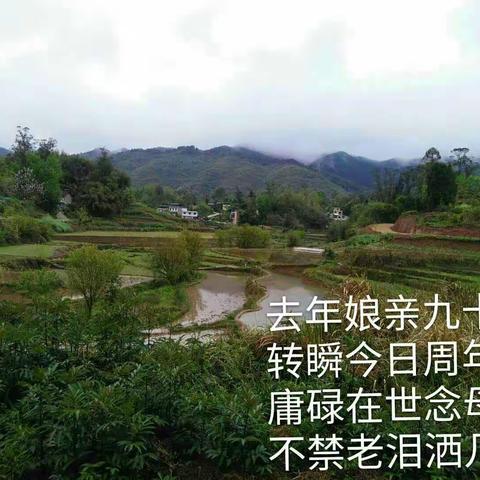 中国的感恩节~~清明节