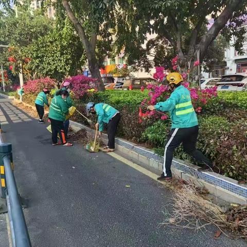 天涯区园林绿化管理队美篇