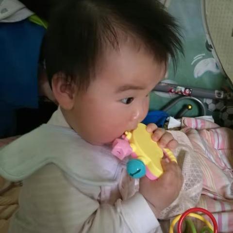 我的生活：吃、睡、玩