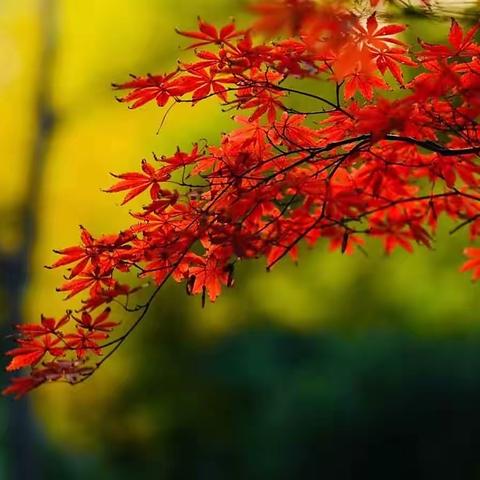 辛集信誉楼五楼中青年女装区——秋季新款