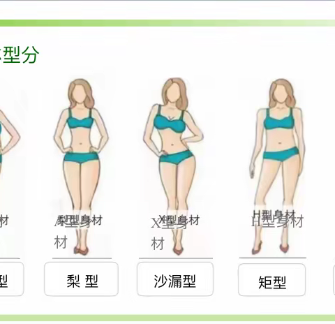 辛集信誉楼五楼中青年女装区——体形与服饰的搭配