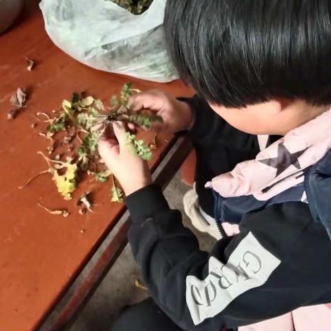 心怀感恩 我们在行动——各南小学三年级优秀的孩子们