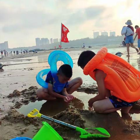 硒都民族实验小学212班，沈树堃暑假社会实践活动