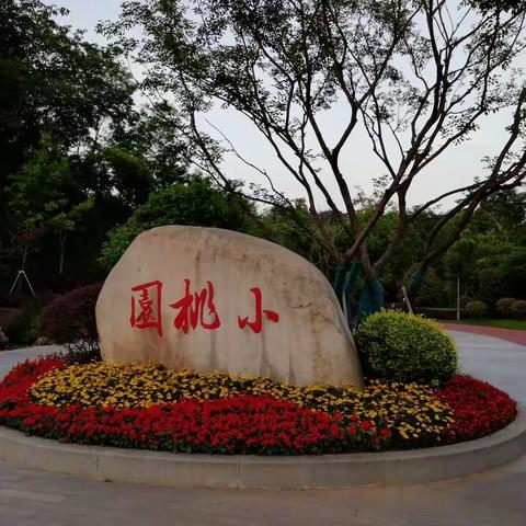 夜幕下的小桃园