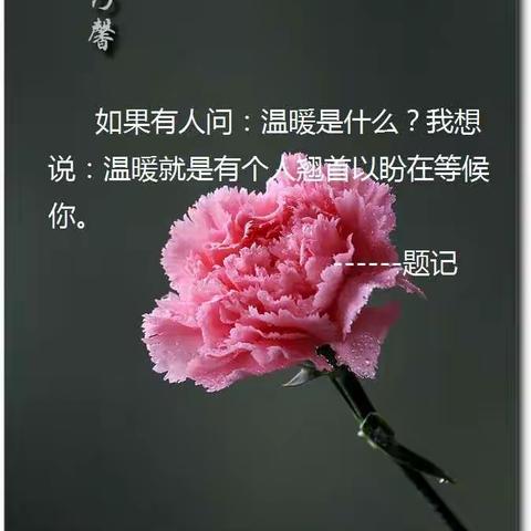 翘首以盼等候你----暨胡市镇中心学校“三八”节送温暖活动