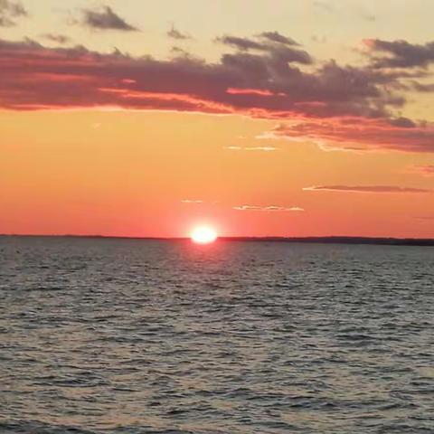 2020 魔幻的一年