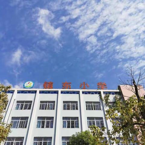 百舸争流，竞绽芳华﻿                    ——镇东小学学区小学语文学科优质课（现场）竞赛