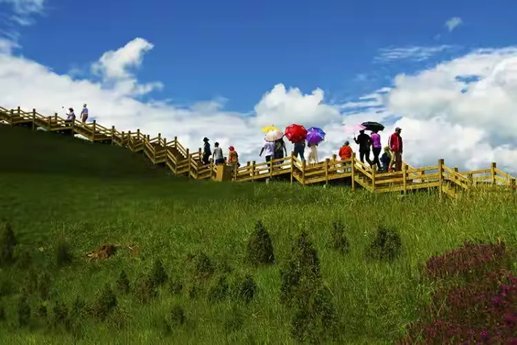 门源圆山观景台