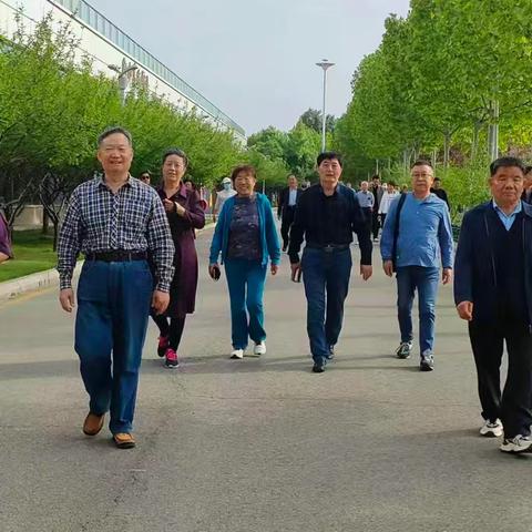 淄博老书会：文化自信走天下 翰墨游学到冀州