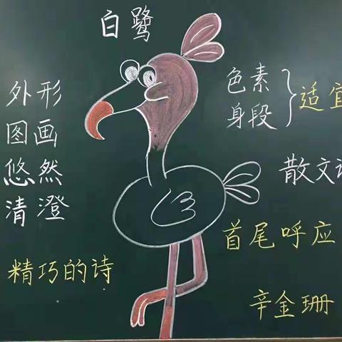 板书设计展风采      一笔一画显真功——林州市第四小学板书设计比赛