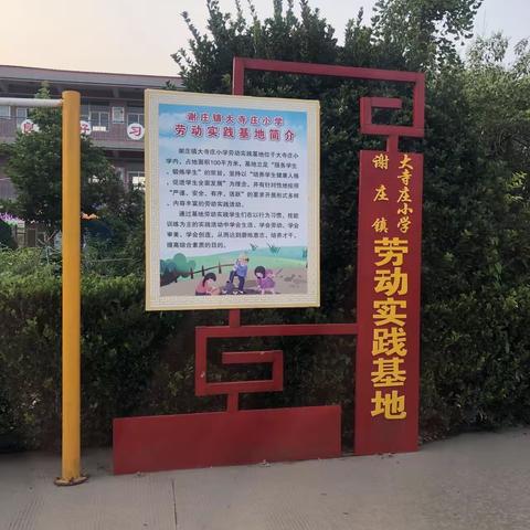 赵县谢庄乡中心学校学生劳动技能大赛---大寺庄小学赛区选手参赛纪实