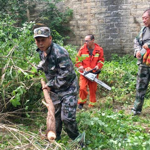 浆水泉水库管委会主任王安立带领队员清理泄洪道内树木确保安全渡汛