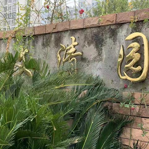 我们的植物园（景观篇）