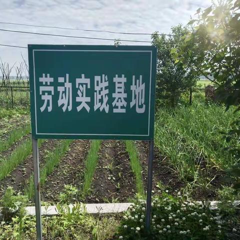 走进校园实践基地 感受劳动创造美