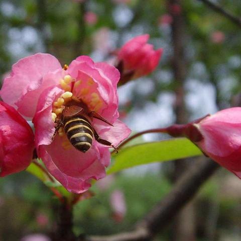 关爱贫困师生  做有情怀教育