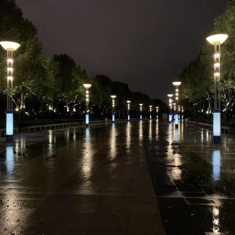 六月走园【环金鸡湖步道夜景】