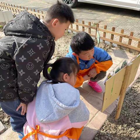 我们的搭棚计划