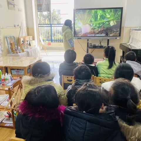 温情冬日 ，劳有所获-萝卜进行曲