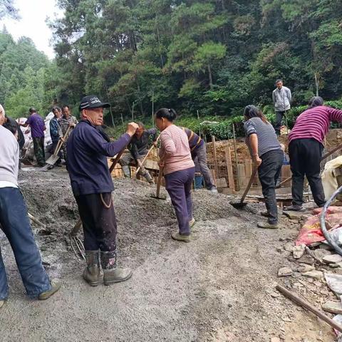 永安镇永安村：党员干部齐上阵，民生直办解民忧