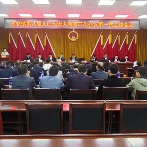 风劲扬帆正当时，砥砺奋进谱新篇——永安镇召开第八届人民代表大会第三次会议