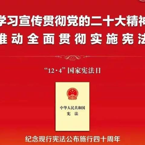 【社东社区】学习宣传贯彻党的二十大精神 推动全民贯彻实施宪法