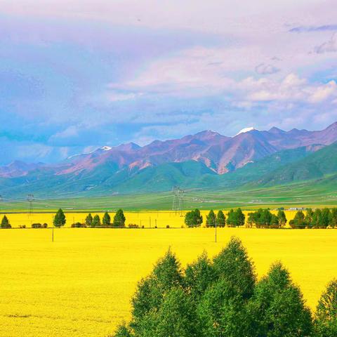 最美的年华去看一场花事！