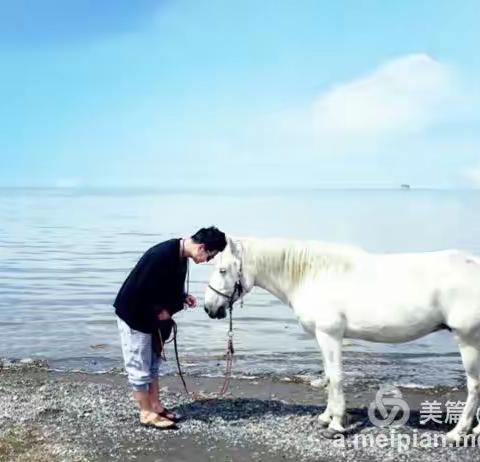 将心遗落在青海