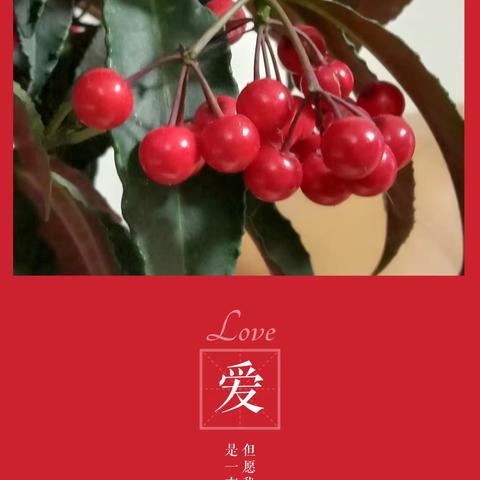 润城乾祥环保同仁给你拜年