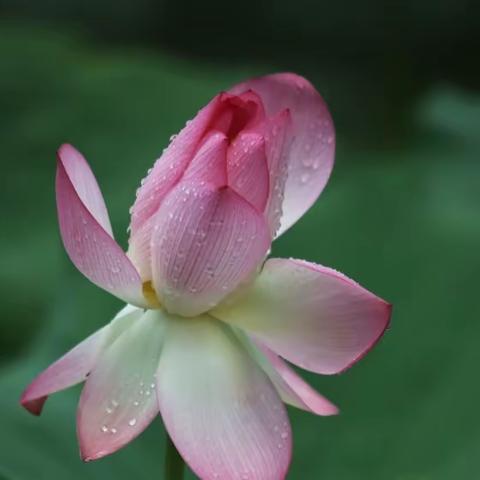 人生经典名言录