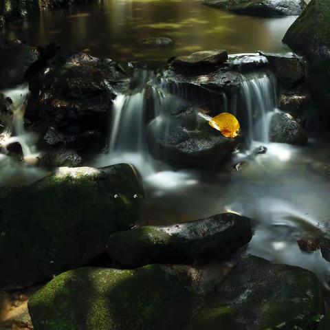 十一中秋双节的美遇