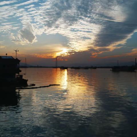 佛心禅语，参度余年