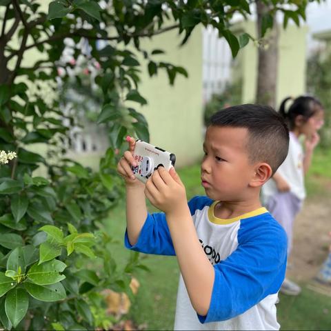 还给孩子更有“生命力”的童年——记丹北实幼大二班夏莉老师