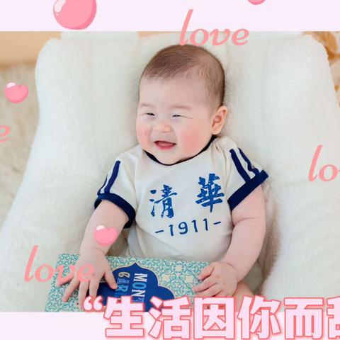 鸡蛋糕的成长记录