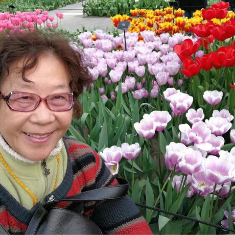 荷兰、比利时、卢森堡游第二集