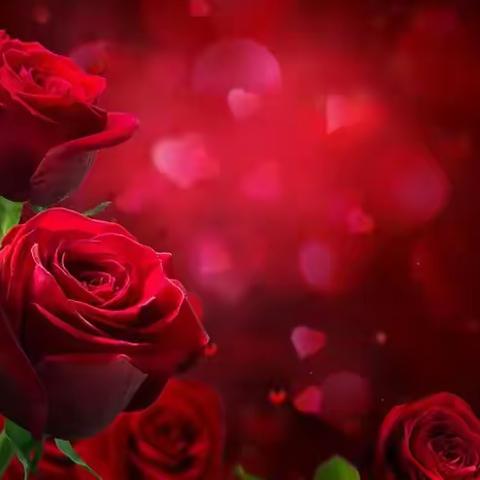 全国优秀摄影师 摄影作品荟萃第33期