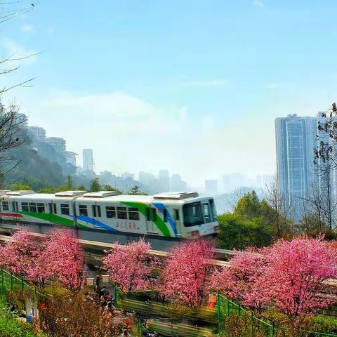 全国优秀摄影师 摄影作品荟萃第31期