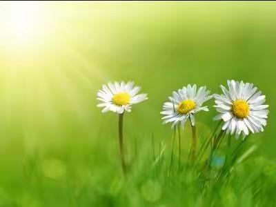 中摄影视重庆分社 摄影作品周刊第15期