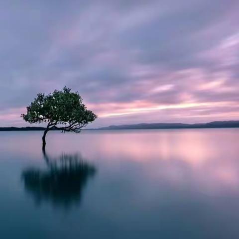 全国优秀摄影师 摄影作品荟萃第23期