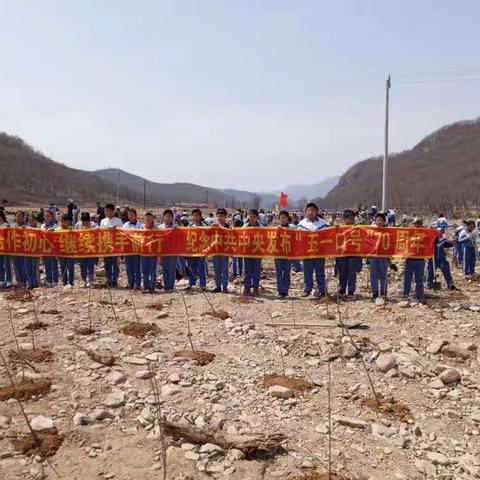 不忘合作初心，继续携手前行---------记龙潭中心小学植树活动