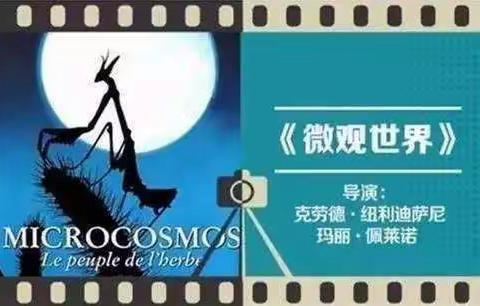 自然艺术馆——科普电影《微观世界》赏析