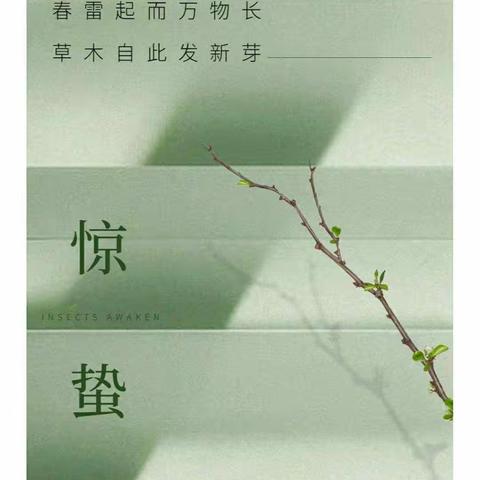 🌿自然亲子家庭指导——科学玩节气🌿