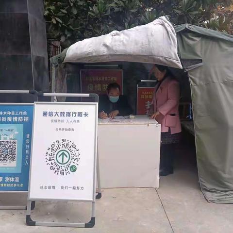 周至县林木种苗工作站2021年11月4日工作动态