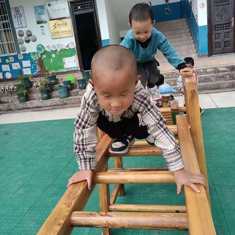 感知秋景 拥抱秋天