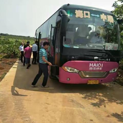 金屋藏『姣』的美篇