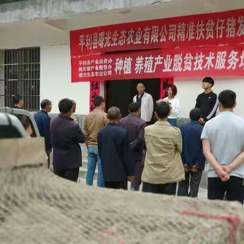 发放生态仔猪，带来脱贫希望 —— 曙光生态农业有限公司产业扶贫行动