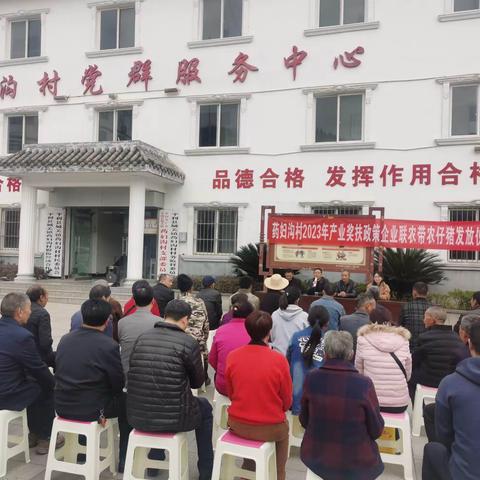 发展生猪产业 助力乡村振兴（三十九）
