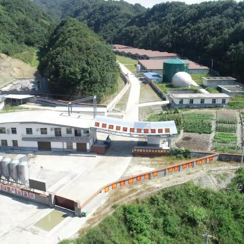 脱贫攻坚后扶“五个三万”项目建设——生猪产业
